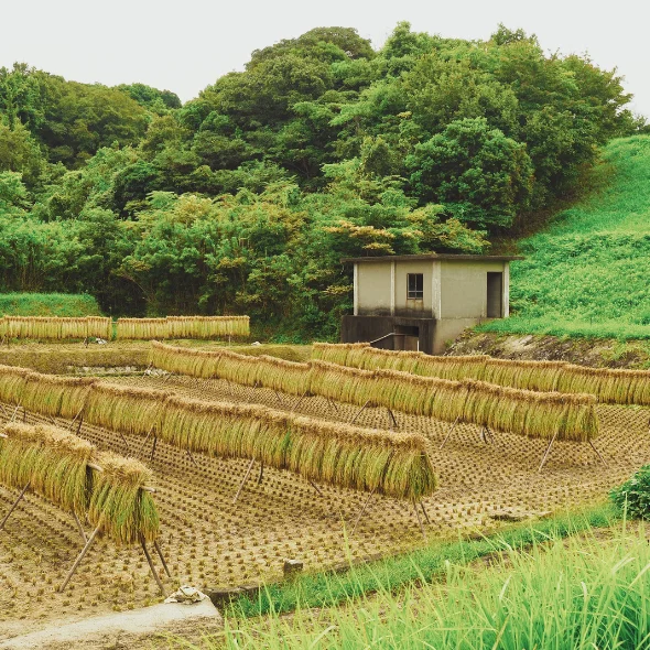 japan's countryside 3