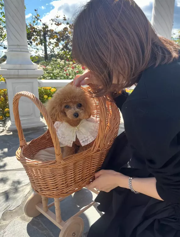 fun time with dog on awaji island