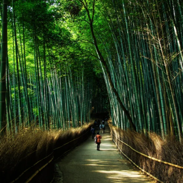 walk in kyoto