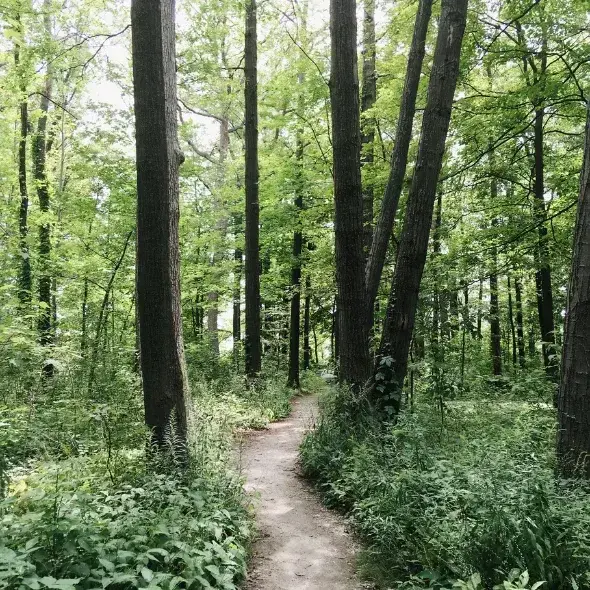 hikes on Awaji Island