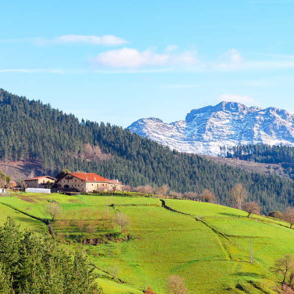 rural tourism