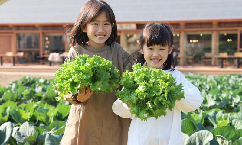 体験型農家レストラン