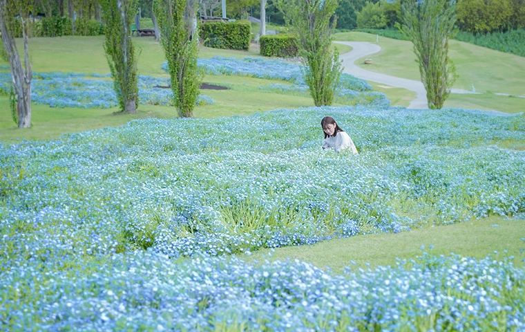 golden week on Awaji Island
