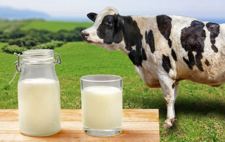 awaji island milk