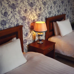 Close-up of a warm bedside lamp resting on a wooden nightstand between twin beds, framed by classic blue-and-white floral wallpaper at Auberge French Forest on Awaji Island, Japan.
